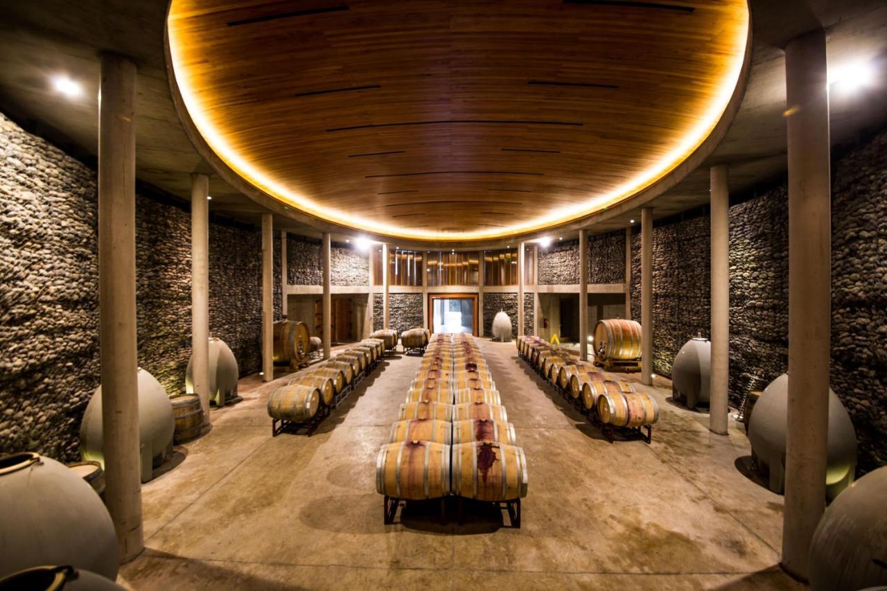 La Casona At Matetic Vineyards Pension Lagunillas Buitenkant foto